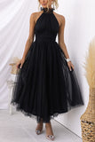 Black / 14(XL)